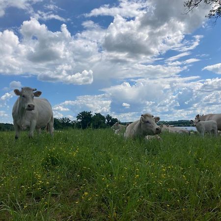 Gite A La Campagne Au Bord D'Un Lac 8 Personnes Saint-Quentin-sur-Charente Exterior foto