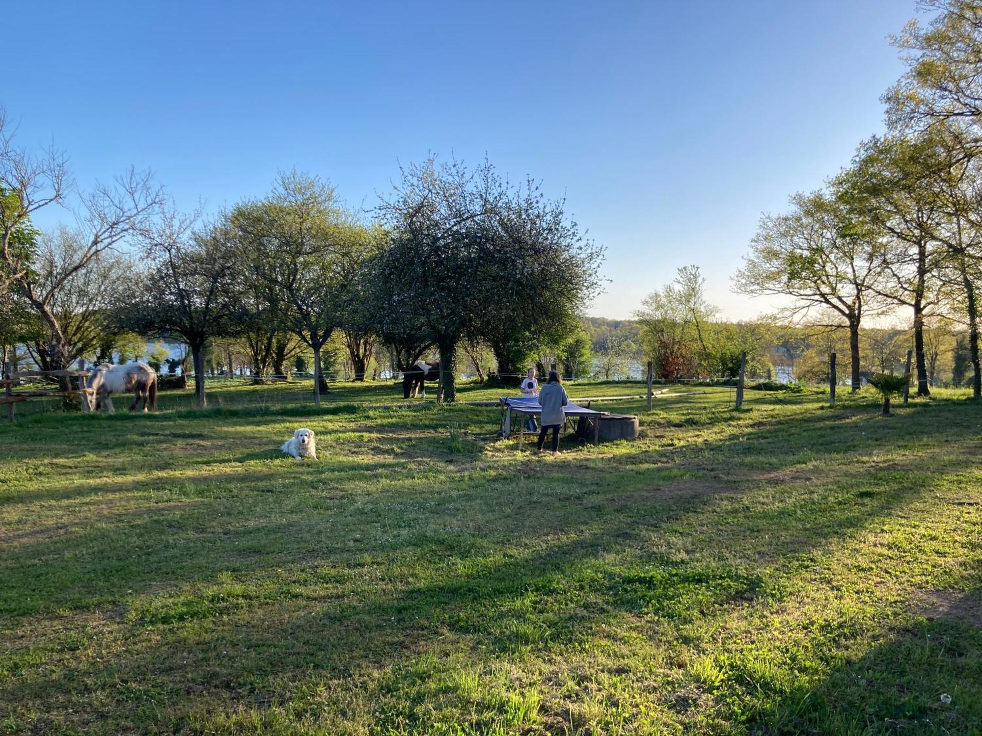 Gite A La Campagne Au Bord D'Un Lac 8 Personnes Saint-Quentin-sur-Charente Exterior foto