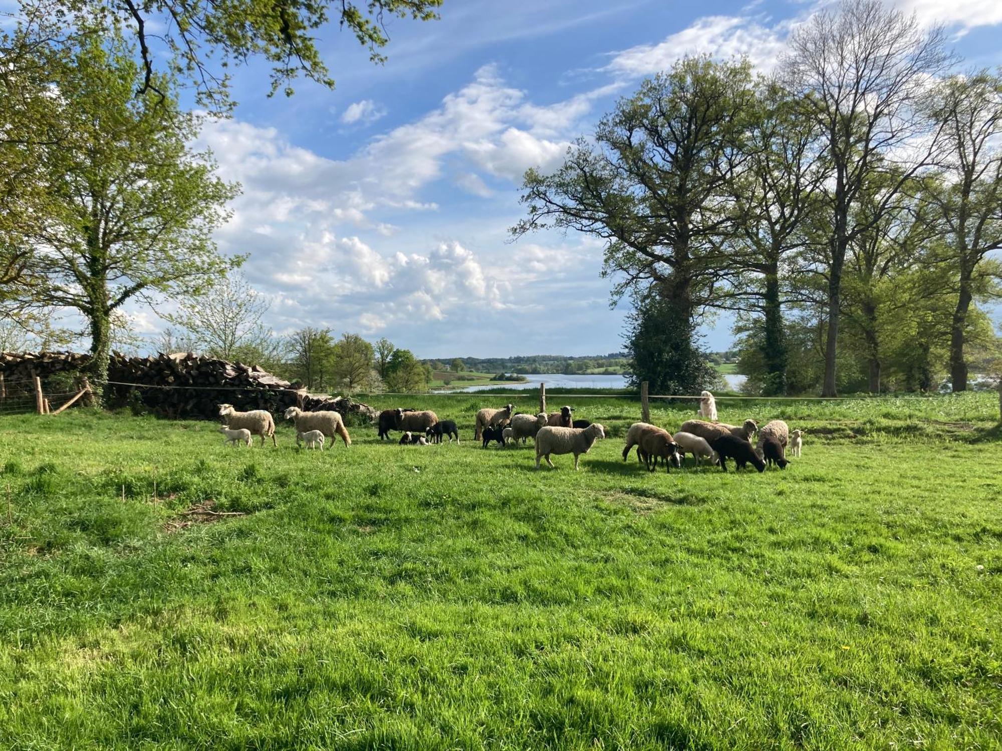 Gite A La Campagne Au Bord D'Un Lac 8 Personnes Saint-Quentin-sur-Charente Exterior foto